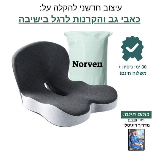 גב+ כרית ארגונומית מבית Norven