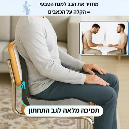 גב+ כרית ארגונומית מבית Norven