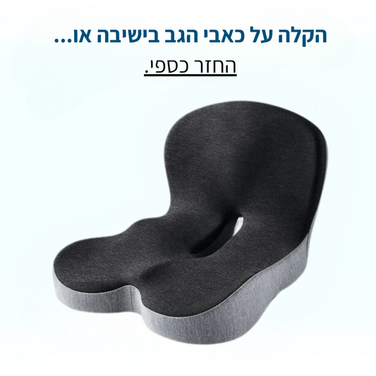 גב+ כרית ארגונומית מבית Norven