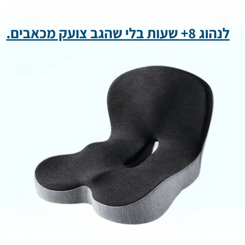 גב+ כרית ארגונומית מבית Norven