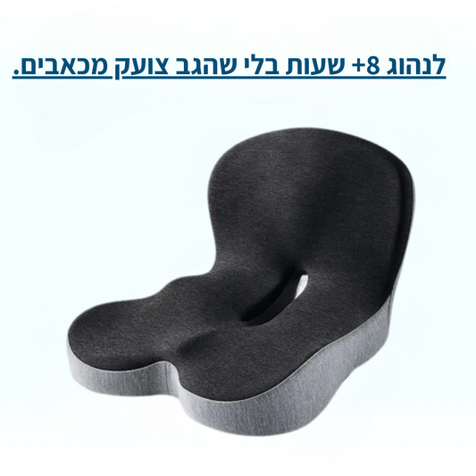 גב+ כרית ארגונומית מבית Norven